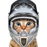 Studio Cat 的头像