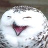 ThatFencingGuy's profile picture