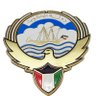 سعود شامان الحميداني®️ 📩 profil fotoğrafı