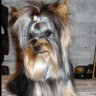 Lola's profile picture