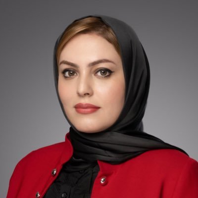 Mp_ZainabAAmeer's profile picture