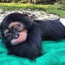 Austine marcel's profile picture