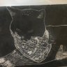 Фото профиля KITTY CAT ALERT