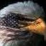 tainsko's profile picture