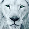 Profilbild von alca 23