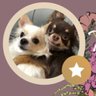 うずら🌷 的头像