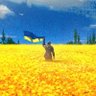 Forrest🇹🇭🇺🇦🇮🇱's profile picture