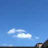 nuage 的头像