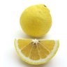 はるか🍊🍋🍊🍋大好き❣️ profil fotoğrafı