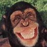 Alistair Maiden's profile picture