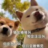 JuneLEE profil fotoğrafı