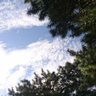 Profilbild von TAKUYA