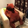 Rob Bear profil fotoğrafı