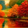 Colors de tardor's profile picture