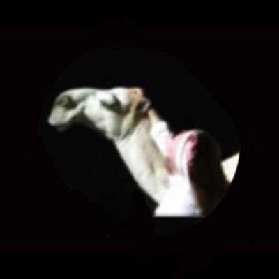 Azeez_NaFs's profile picture