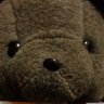 熊子🌗元17歳🐻's profile picture