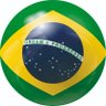 Bollsonaro robรด2020 ็ๅคดๅ