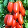 @gilbertAwini profil fotoğrafı