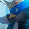 Pengoo96's profile picture