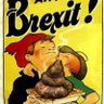 Profilbild von Fill #TrussTax #SackSunak #Remainer #BLM #FollowB