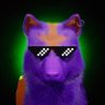 Trav 🌍2⃣ profil fotoğrafı