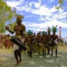 SA PAPUA's profile picture