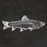 Profilbild von free fish