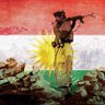 TacticalK profil fotoğrafı