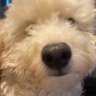 Beto's profile picture