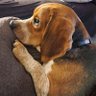 Profilbild von JJBro11