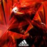 🦅🦅🦅 的头像