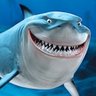 Great White Shawk 的头像