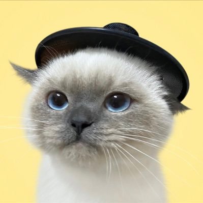 ꜱᴏɴᴀ's profile picture