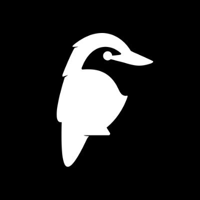 NFSAonline's profile picture
