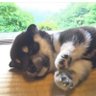 Profilbild von めぐみ