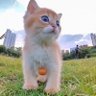 Beeba's profile picture