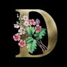Profilbild von Dina R
