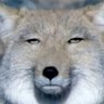 カラス 的头像