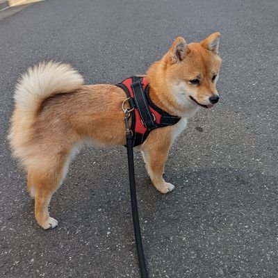 福姫's profile picture