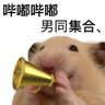 嘤嘤嘤's profile picture