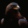 Eagle 🇦🇫 的头像