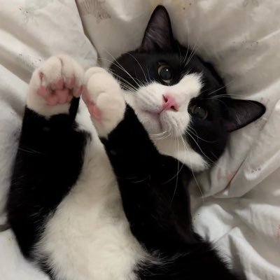 ooorange橙's profile picture