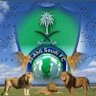 ابو ايمن الدوسي's profile picture
