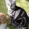 阿舍 profil fotoğrafı