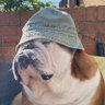 Profilbild von Stephen Souter