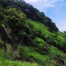 Фото профиля Bintang Bulan