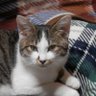 ドンチャン profil fotoğrafı