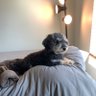Poat's profile picture