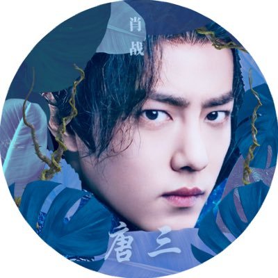 True Love ❤️ Xiao Zhan's profile picture