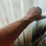 Hijodefox's profile picture